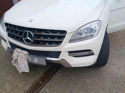 Mercedes ML250