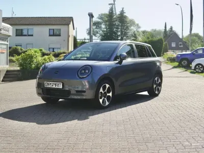 Neu JAC E30X 100 kW (136 PS) 2026 Grau Kleinwagen