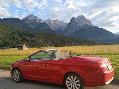 gebraucht Ford Focus Cabriolet 