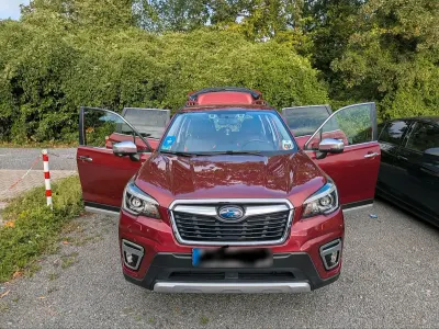 Gebraucht Subaru Forester