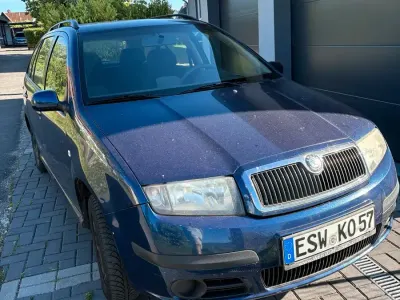 Brugt Skoda Fabia