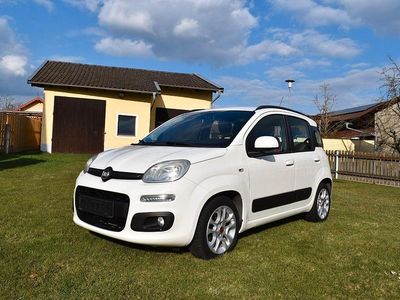 Gebraucht Fiat Panda Lounge 69 PS (50 kW) 2013 Weiß Kleinwagen