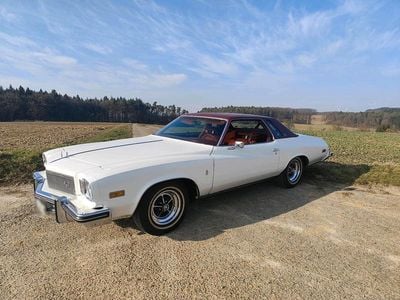 Gebraucht Buick Regal 175 PS (128 kW) 1975 Weiß Coupé