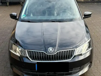 Brugt Skoda Fabia