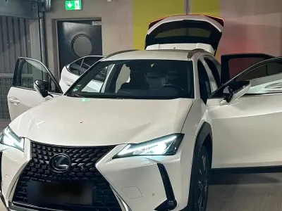 Gebraucht Lexus UX 250h