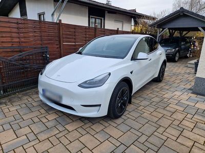 gebraucht Tesla Model Y Long Range AWD Dual Motor