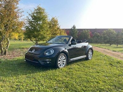 VW Beetle