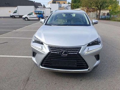 gebraucht Lexus NX300h NX 300hBusiness Line