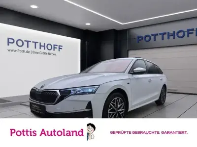 Gebraucht Skoda Octavia Tour 150 PS (110 kW) 2025 Moonweiss metallic Kombi