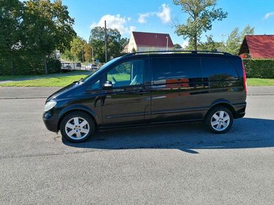 Mercedes Viano
