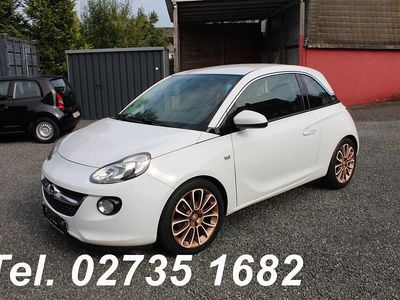 Weiß Gebraucht 2014 Opel Adam Kleinwagen | 4.799 € (Guter Preis)