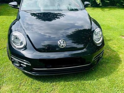 gebraucht VW Beetle 