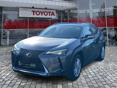 Gebraucht Lexus UX 250h 178 PS (130 kW) 2019 Mercury grey SUV