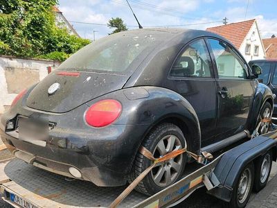 VW Beetle