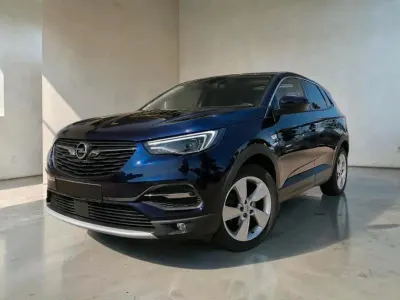 Gebraucht Opel Grandland X Ultimate 131 PS (96 kW) 2019 Blau SUV