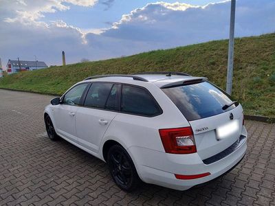 Gebraucht Skoda Octavia Joy 150 PS (110 kW) 2016 Weiß Kleinwagen