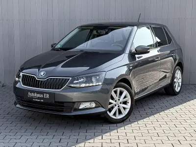 Gebraucht Skoda Fabia Clever 95 PS (69 kW) 2018 Grau Kleinwagen