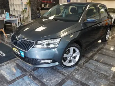 Gebraucht Skoda Fabia Cool Plus 75 PS (55 kW) 2019 Grau Kleinwagen