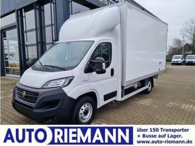 gebraucht Fiat Ducato 35 TDCi Möbel Koffer Maxi KLIMA KOMFORT