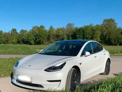 Gebraucht Tesla Model 3 Standard Range Plus 2020 Weiß Limousine