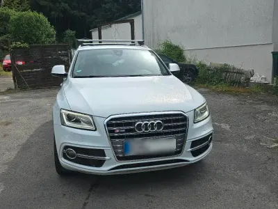 Gebraucht Audi SQ5 Competition 326 PS (239 kW) 2015 Weiß SUV