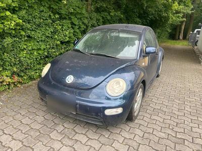 VW Beetle