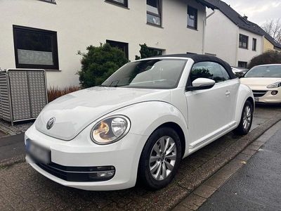 VW Beetle