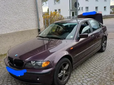 Brugt BMW 316 115 HK (84 kW) 2003 Lilla Sedan