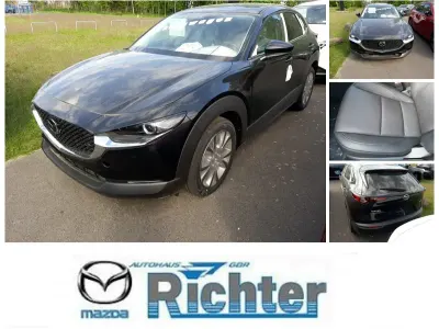 Gebraucht Mazda CX-30 Takumi-Line 140 PS (102 kW) 2024 SUV