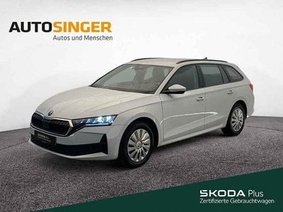 Gebraucht Skoda Octavia Essence 116 PS (85 kW) 2025 Moonweiss metallic Kombi