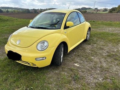 VW Beetle