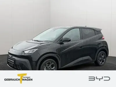 Gebraucht BYD Dolphin Surf