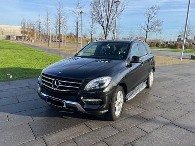 gebraucht Mercedes ML350 4MATIC Service Neu Bremsen Neu Luftfahrw.