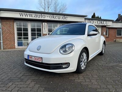 gebraucht VW Beetle 1.2 TSI Design KLIMA/PANORAMA/PDC/ALU 18