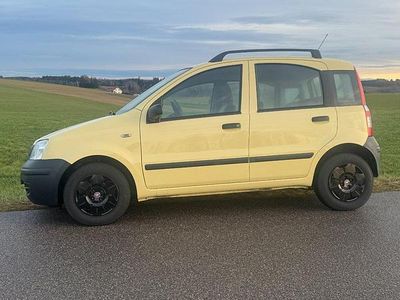 Gebraucht Fiat Panda 55 PS (40 kW) 2009 Gelb Kleinwagen