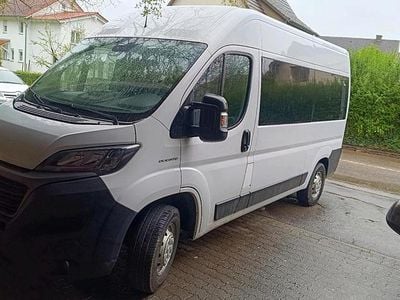 Usata Fiat Ducato 2019 Furgone