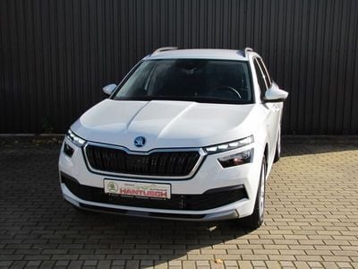 Gebraucht Skoda Kamiq Tour 150 PS (110 kW) 2024 Moonweiss metallic met. SUV