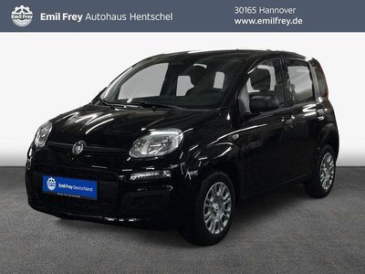 Neu Fiat Panda Pop 69 PS (50 kW) 2025 Schwarz Kleinwagen