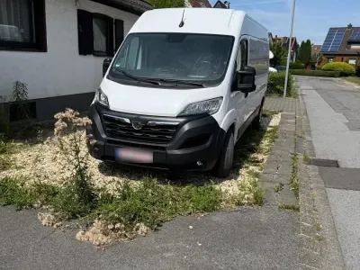 Używany Opel Movano
