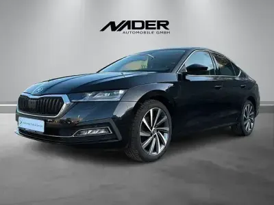Gebraucht Skoda Octavia