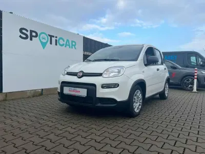 Brugt Fiat Panda