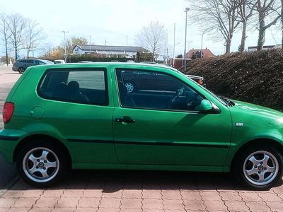 Gebraucht VW Polo 73 PS (53 kW) 2000 Grün Kleinwagen