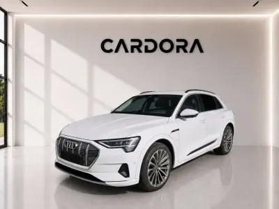 Gebraucht Audi e-tron