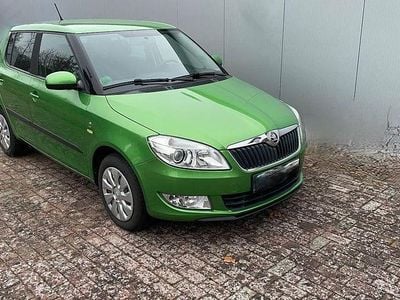 Grün Gebraucht 2013 Skoda Fabia Fresh Limousine | 2.999 € (Guter Preis)