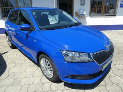 Gebraucht Skoda Fabia Active 60 PS (44 kW) 2019 Blau Kleinwagen