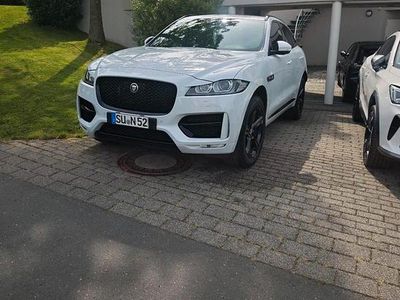 Gebraucht Jaguar F-Pace R-Sport 300 PS (220 kW) 2018 Weiß SUV