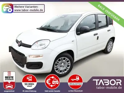 Brugt Fiat Panda