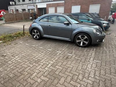 VW Beetle