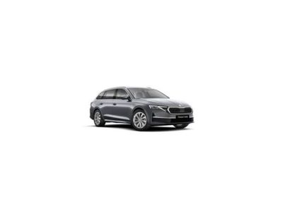 Gebraucht Skoda Octavia Selection 116 PS (85 kW) 2024 Kombi