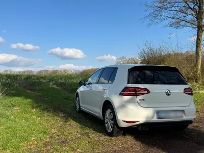 Gebraucht VW Golf VII GTE 204 PS (150 kW) 2015 Weiß Limousine